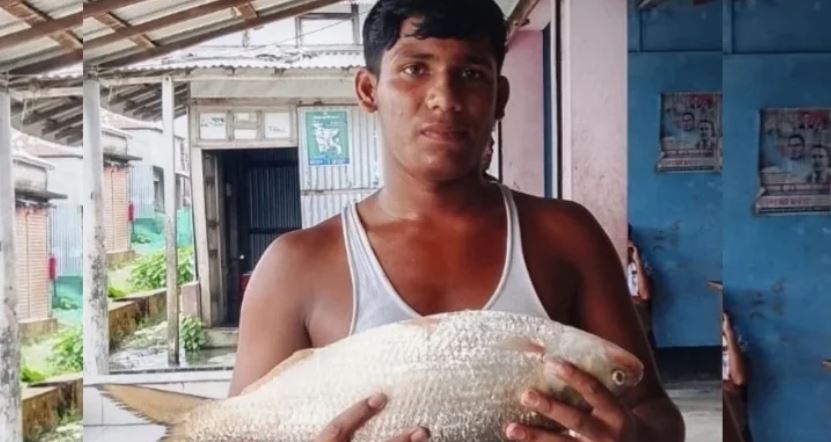 দুই কেজি ওজনের এক ইলিশের দাম সাড়ে ৮ হাজার টাকা